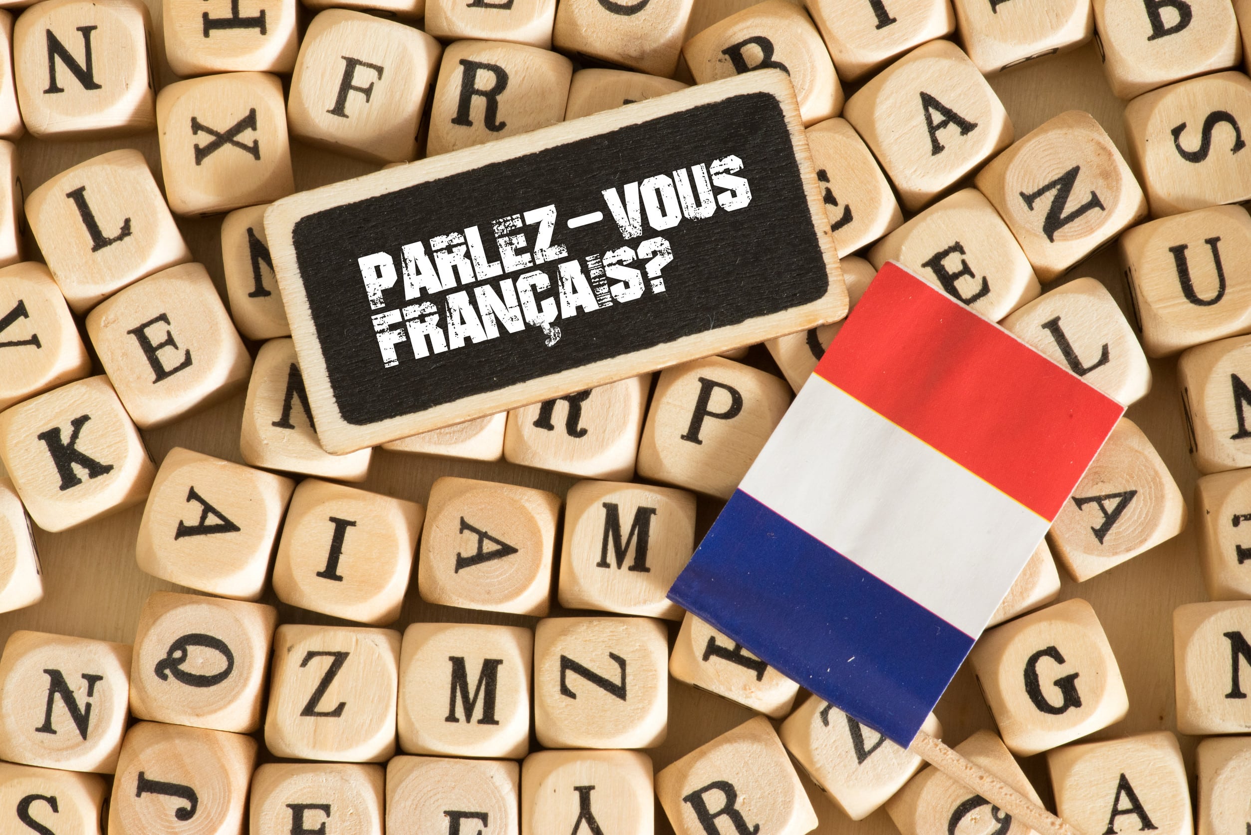 formation en français langue étrangère